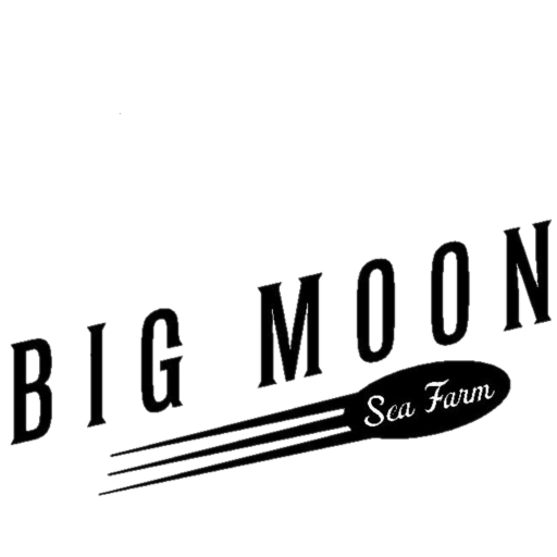 big-moon-logo-text-portion